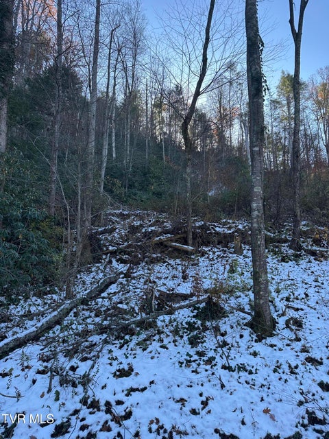 Photo #2: Tbd Old Hwy Road