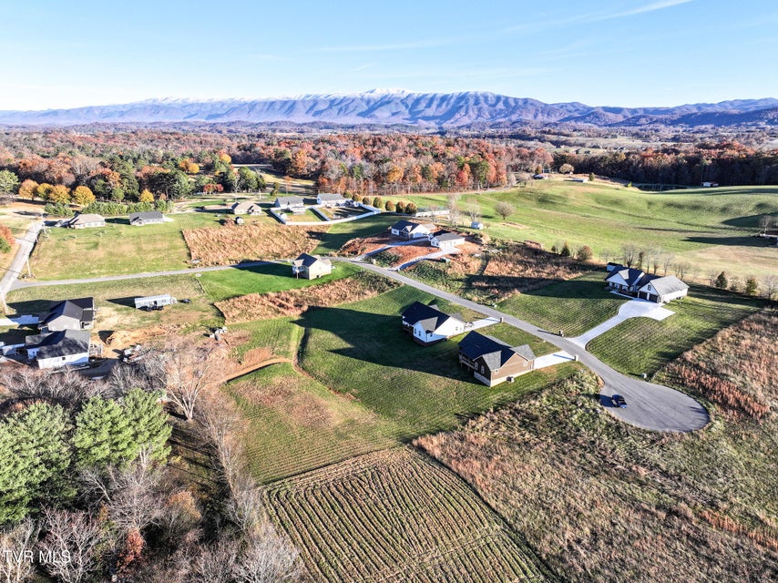 Photo #53: 210 Emperor 