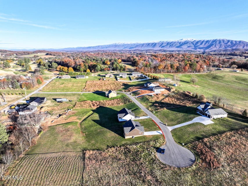 Photo #54: 210 Emperor 