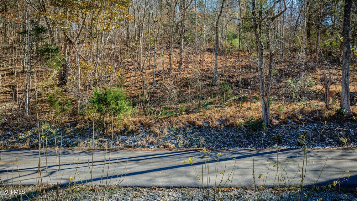 Photo #13: Tbd Beulah Church Road