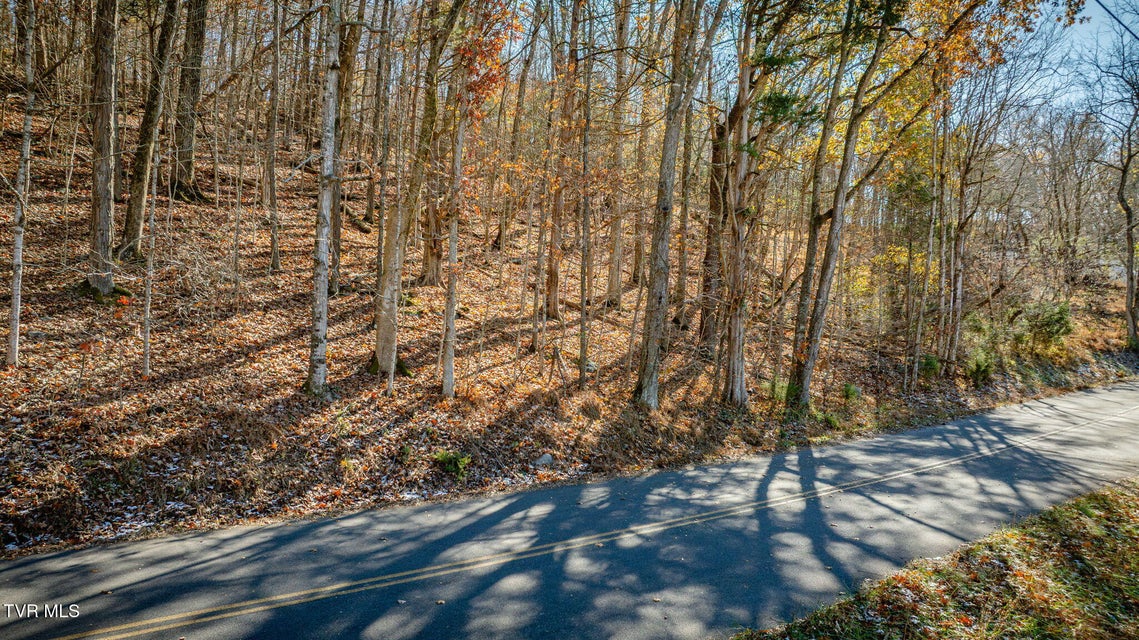 Photo #14: Tbd Beulah Church Road