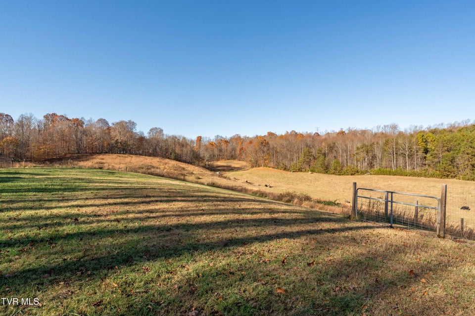 Photo #55: 2638 Highway 81 South 