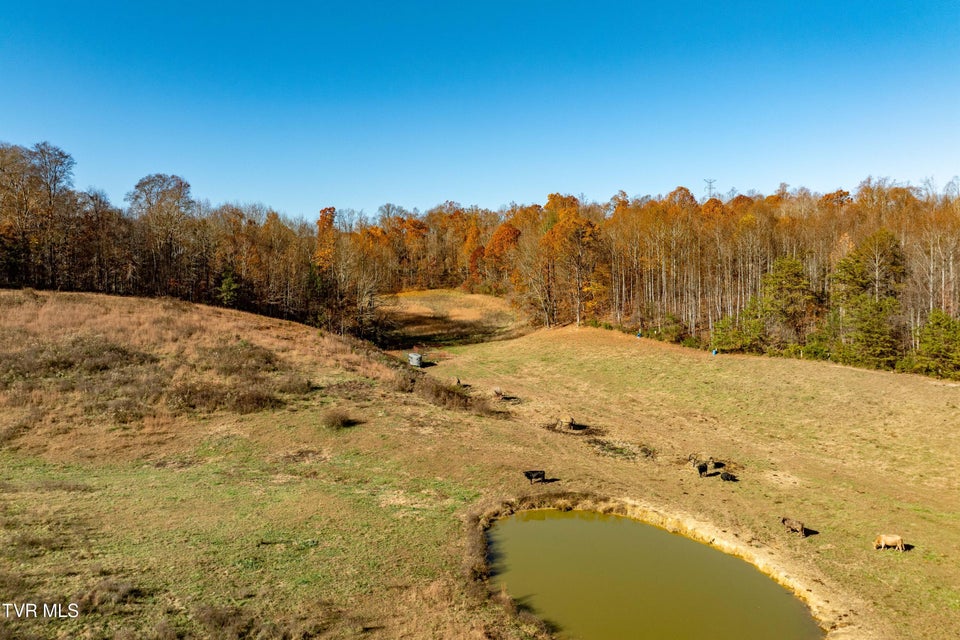 Photo #58: 2638 Highway 81 South 