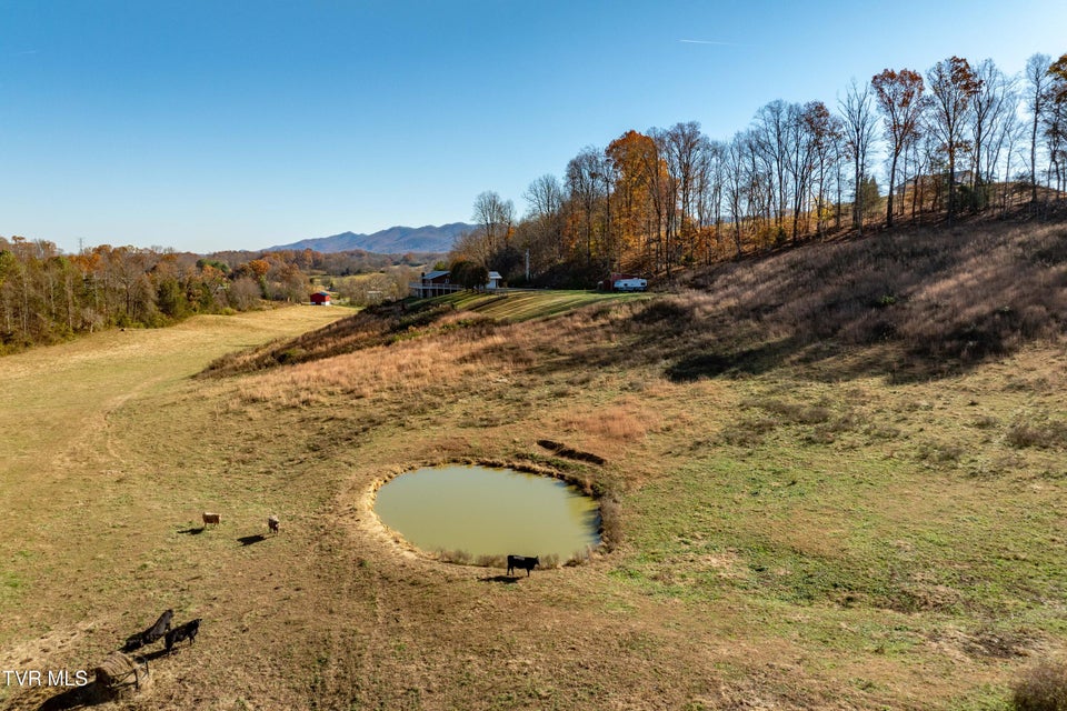 Photo #60: 2638 Highway 81 South 