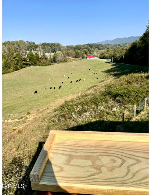 Photo #12: 2638 Highway 81 South 