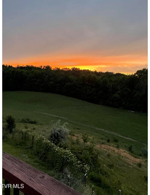 Photo #66: 2638 Highway 81 South 