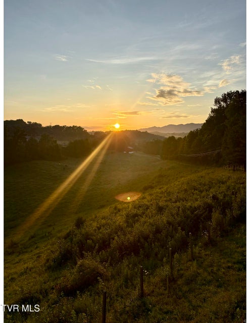 Photo #67: 2638 Highway 81 South 