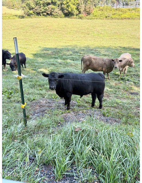 Photo #64: 2638 Highway 81 South 