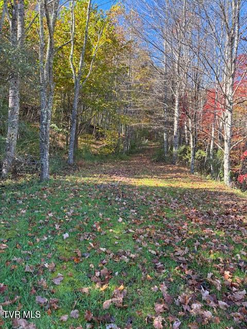 Photo #3: 0 Country Meadow Drive