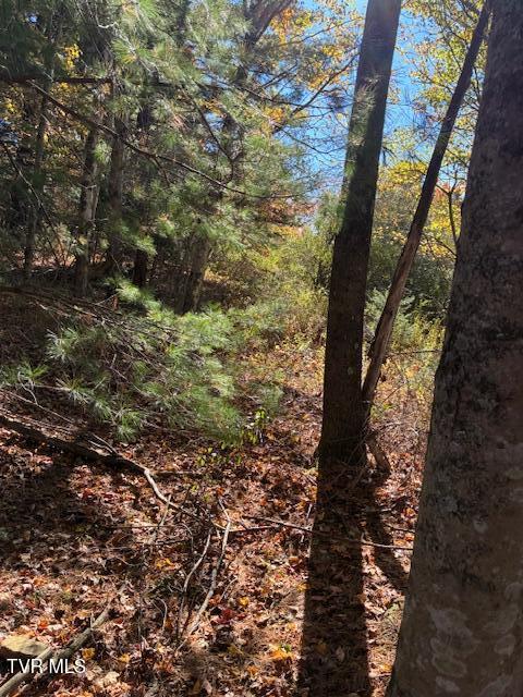 Photo #4: 0 Country Meadow Drive