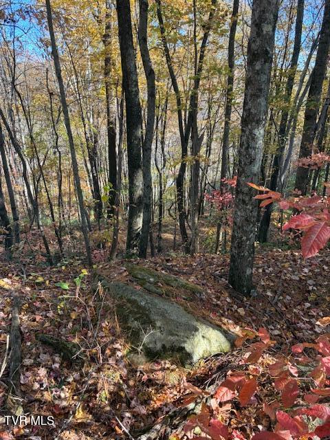 Photo #5: 0 Country Meadow Drive