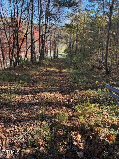 Photo #6: 0 Country Meadow Drive