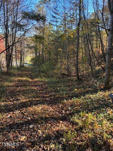 Photo #7: 0 Country Meadow Drive