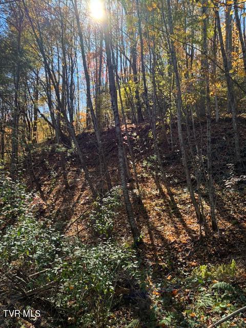 Photo #8: 0 Country Meadow Drive