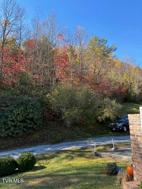 Photo #9: 0 Country Meadow Drive