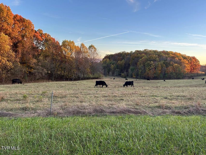 Photo #4: 25568 Calima Drive