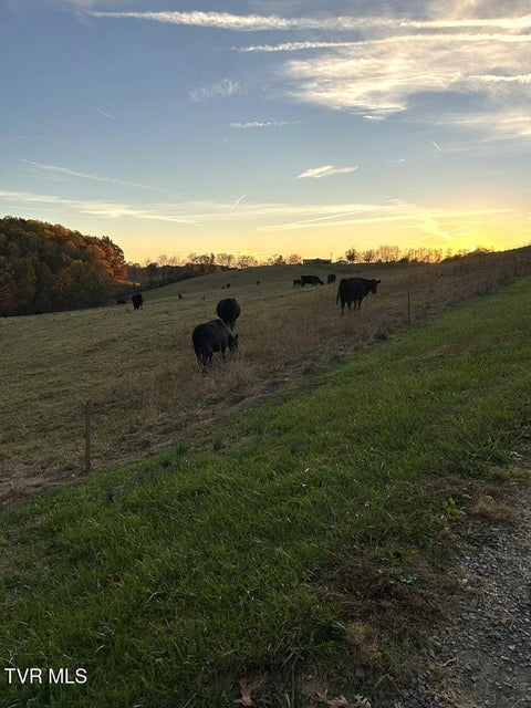 Photo #5: 25568 Calima Drive