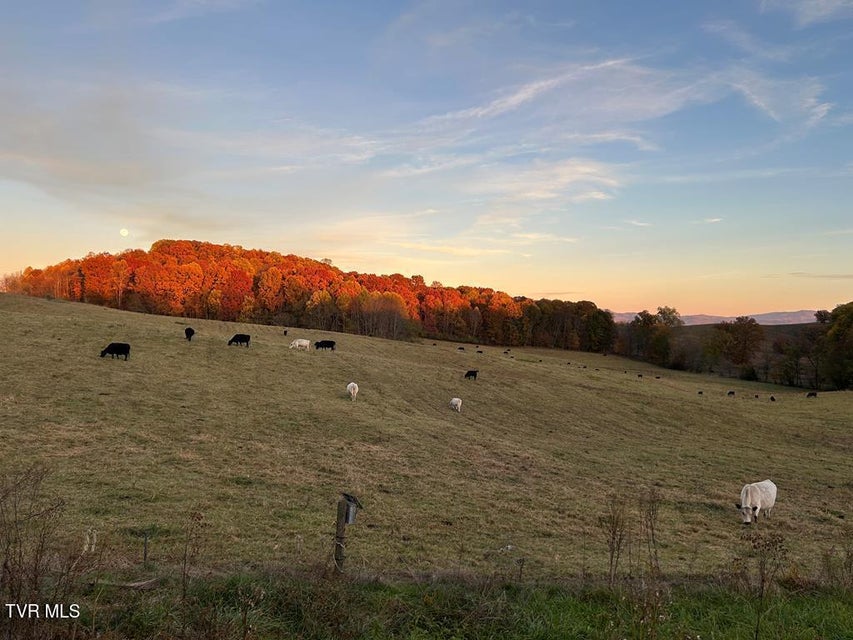 Photo #7: 25568 Calima Drive