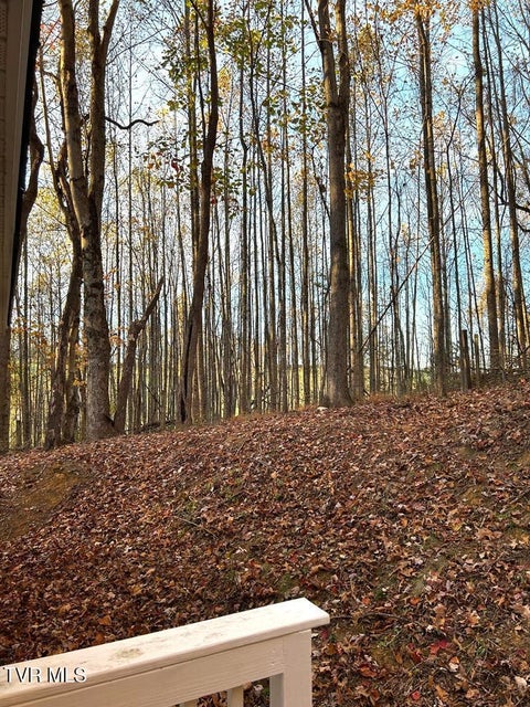 Photo #71: 25568 Calima Drive