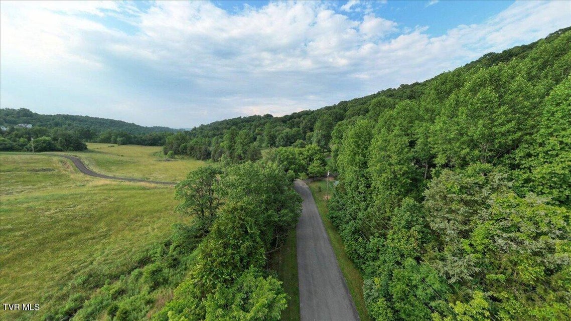 Photo #4: Tbd Brystone Drive