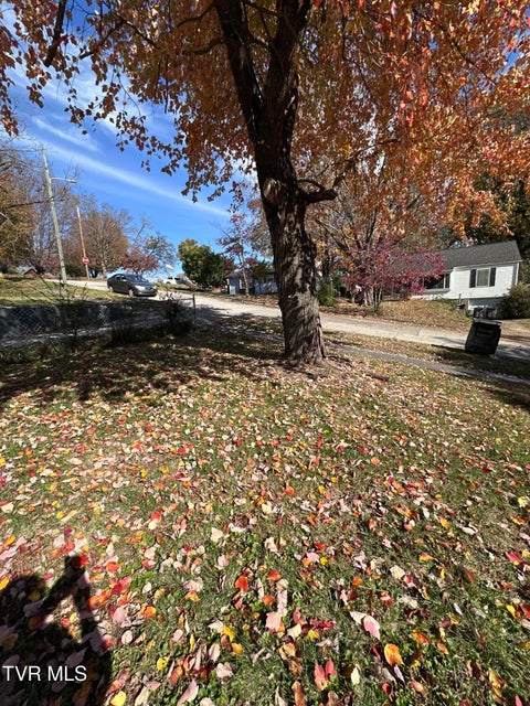 Photo #63: 526 Mount Ida Place