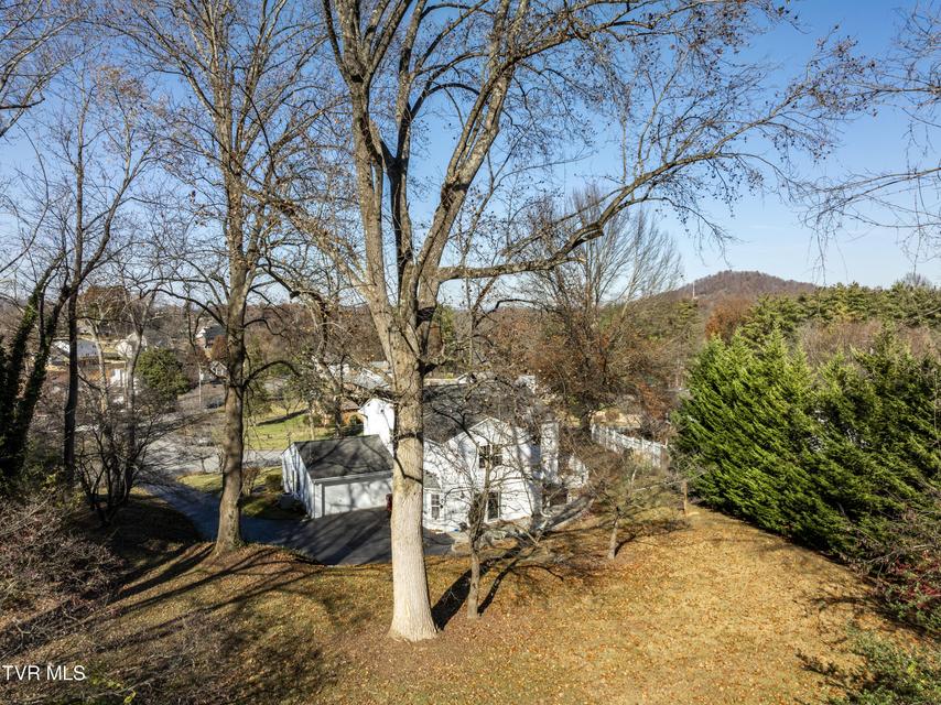 Photo #68: 312 Ivanhoe Drive