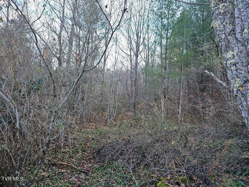 Photo #11: 0 Country Meadow Drive