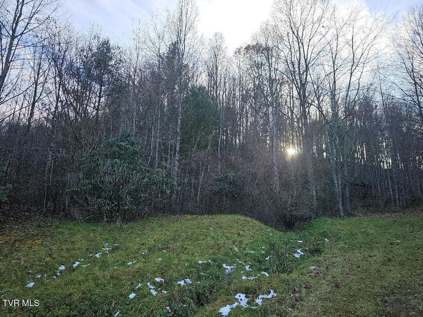 Photo #12: 0 Country Meadow Drive