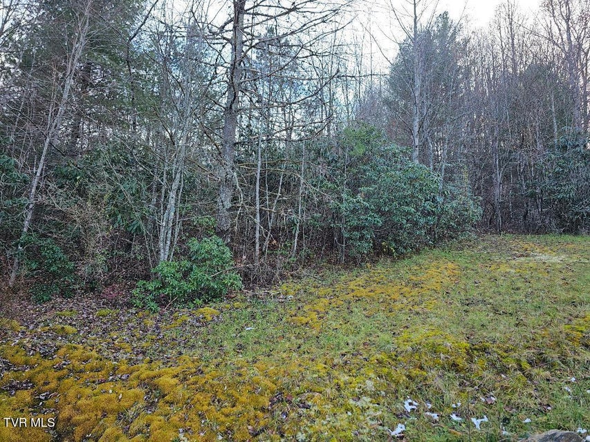 Photo #13: 0 Country Meadow Drive