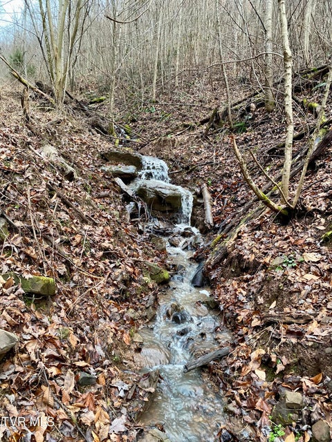 Photo #52: 1370 Hickory Cove Road