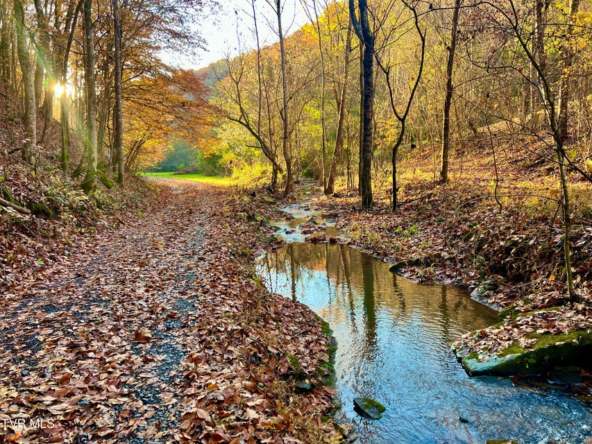 Photo #39: 1370 Hickory Cove Road