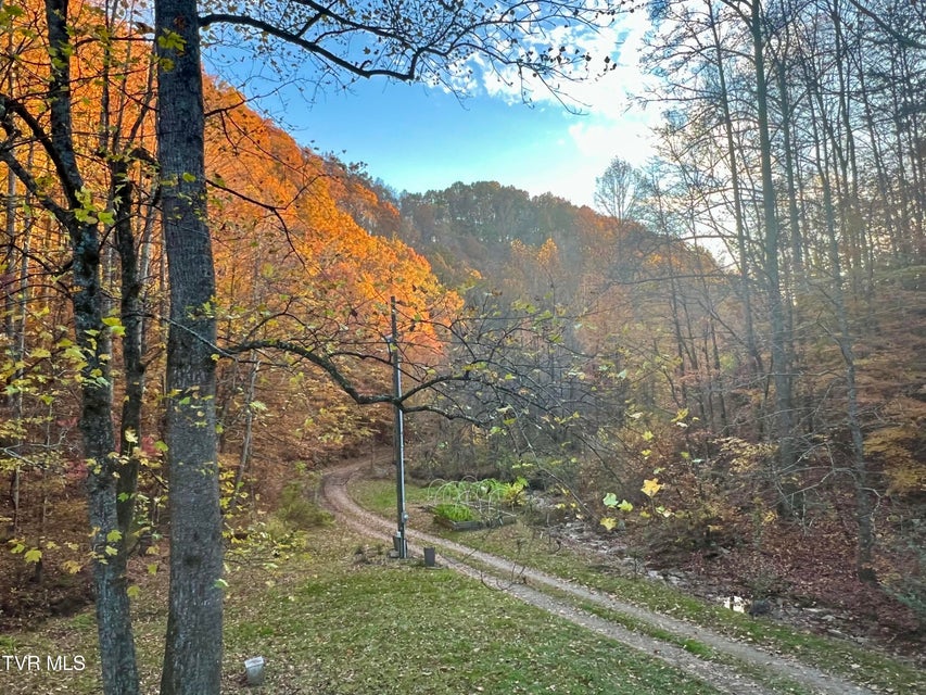 Photo #53: 1370 Hickory Cove Road