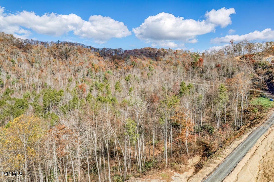 Photo #43: 169 Teaberry Road