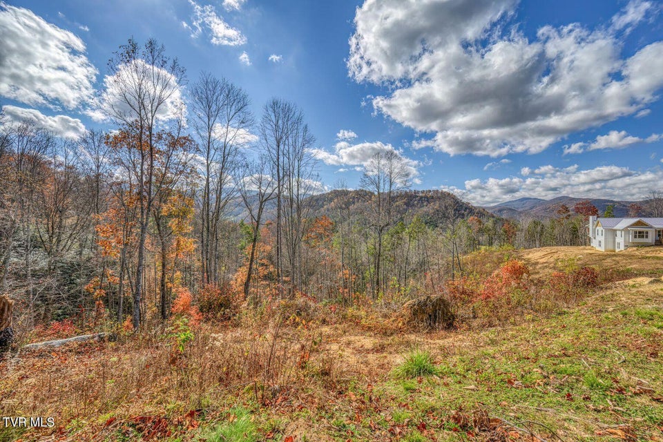 Photo #46: 169 Teaberry Road