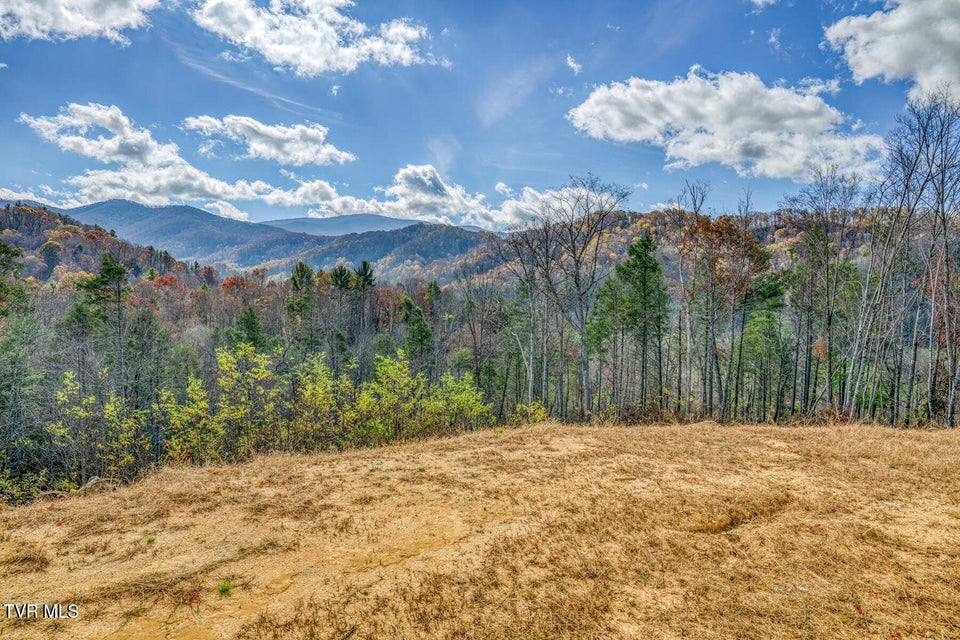 Photo #52: 169 Teaberry Road