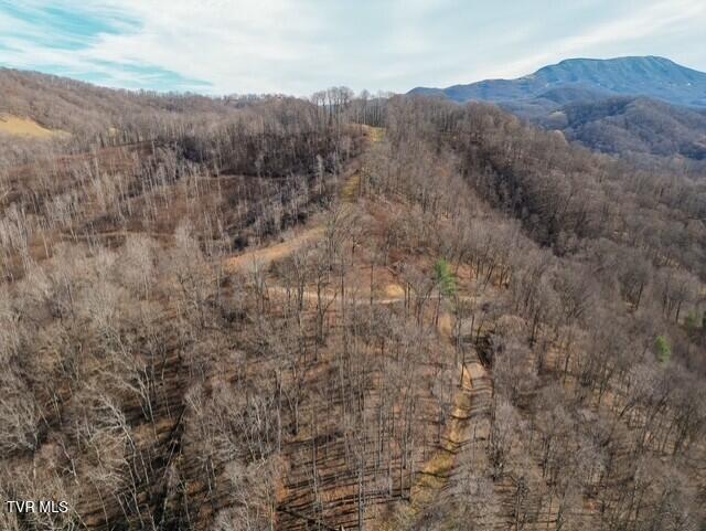 Photo #9: Tbd Fred Wallace Road