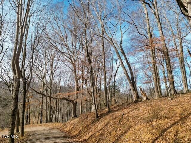 Photo #24: Tbd Fred Wallace Road