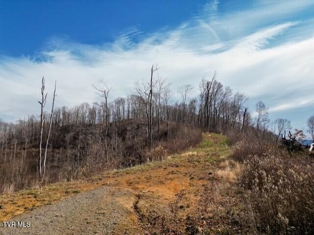 Photo #27: Tbd Fred Wallace Road