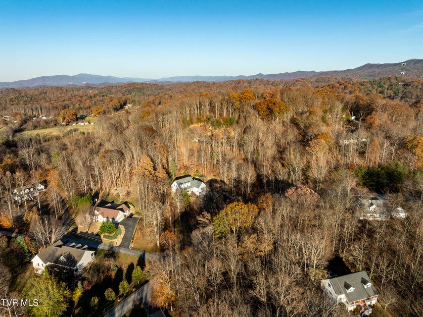 Photo #10: Lot 35 Lonestar Drive