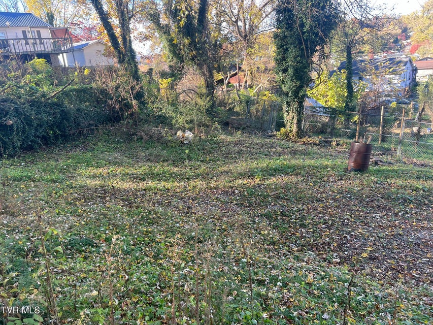 Photo #3: 306 Delaware Street