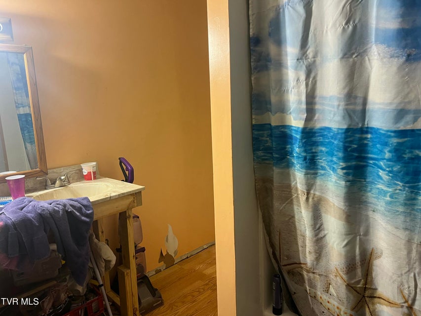 Photo #9: 306 Delaware Street