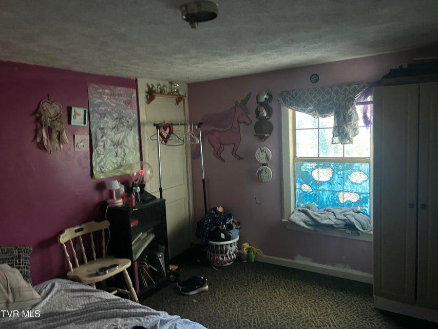 Photo #12: 306 Delaware Street