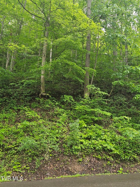 Photo #3: 1068 Lesters Fork Road