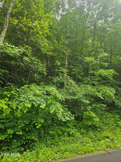 Photo #6: 1068 Lesters Fork Road