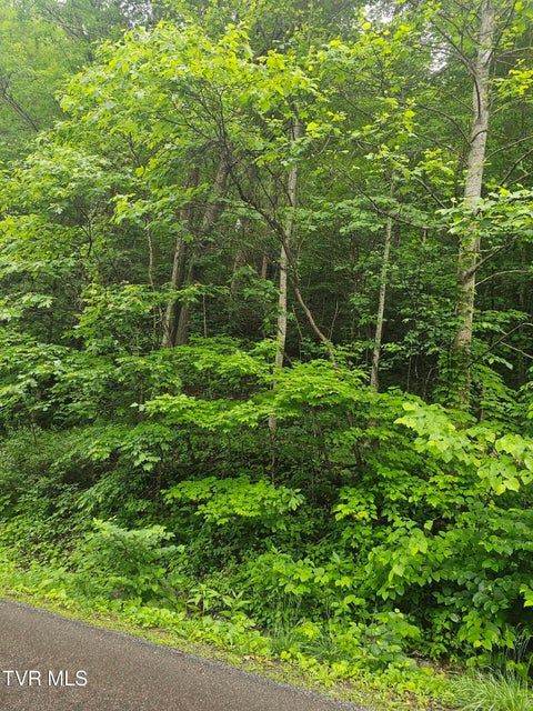 Photo #7: 1068 Lesters Fork Road