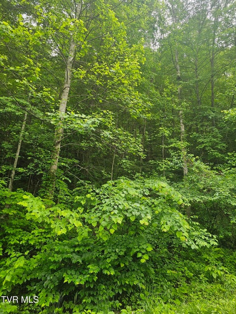 Photo #8: 1068 Lesters Fork Road