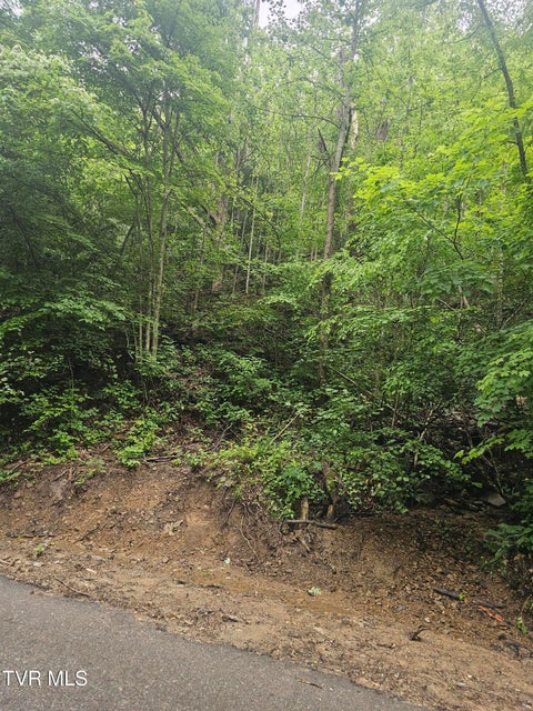 Photo #9: 1068 Lesters Fork Road