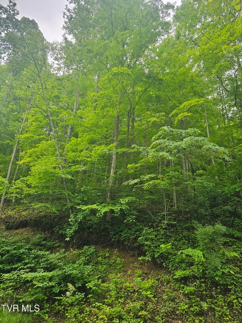 Photo #11: 1068 Lesters Fork Road