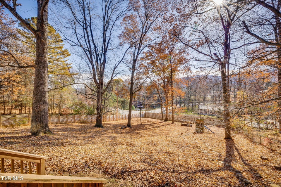 Photo #35: 900 Echo Lane