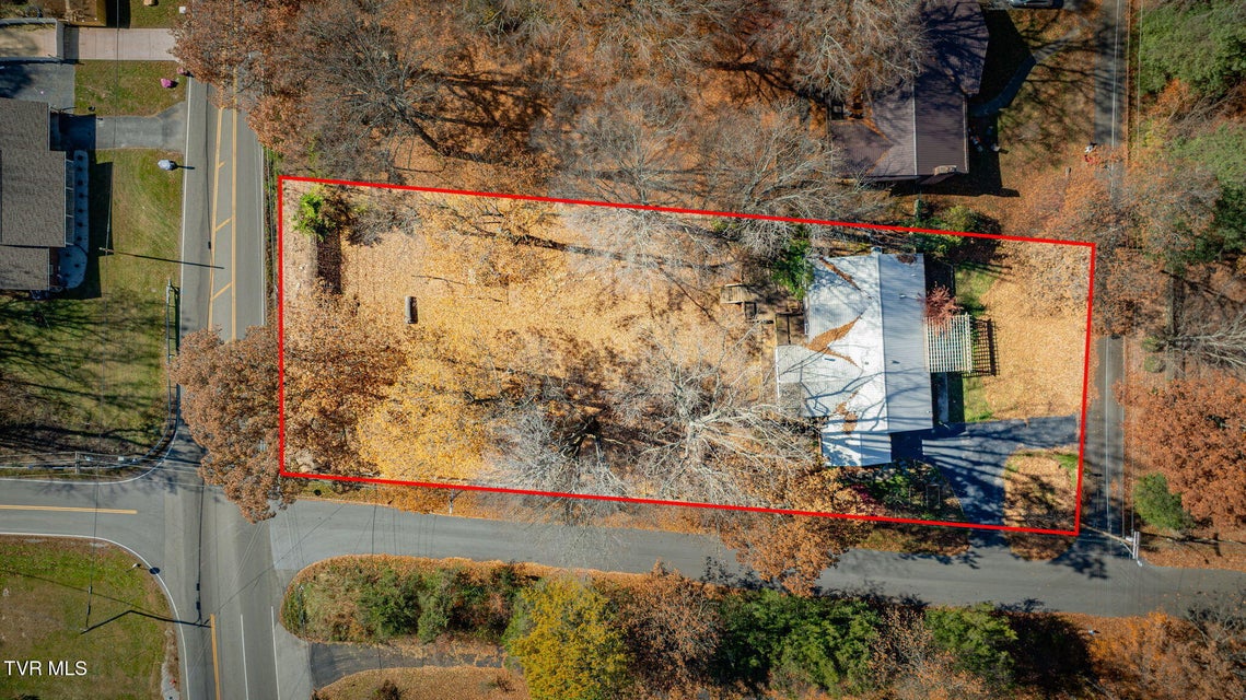 Photo #42: 900 Echo Lane